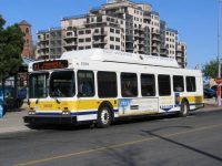 Bus Route